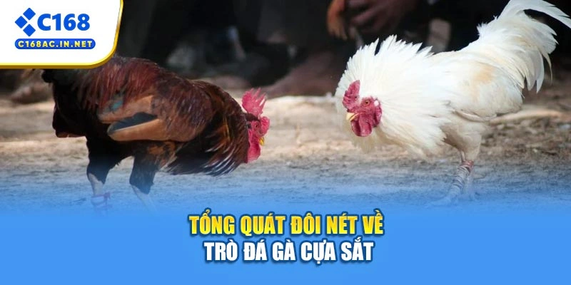 Đá Gà Cựa Sắt C168 - Bí Kíp Cá Cược Từ A Đến Z Cho Người Mới 2 Tổng quát đôi nét về trò đá gà cựa sắt